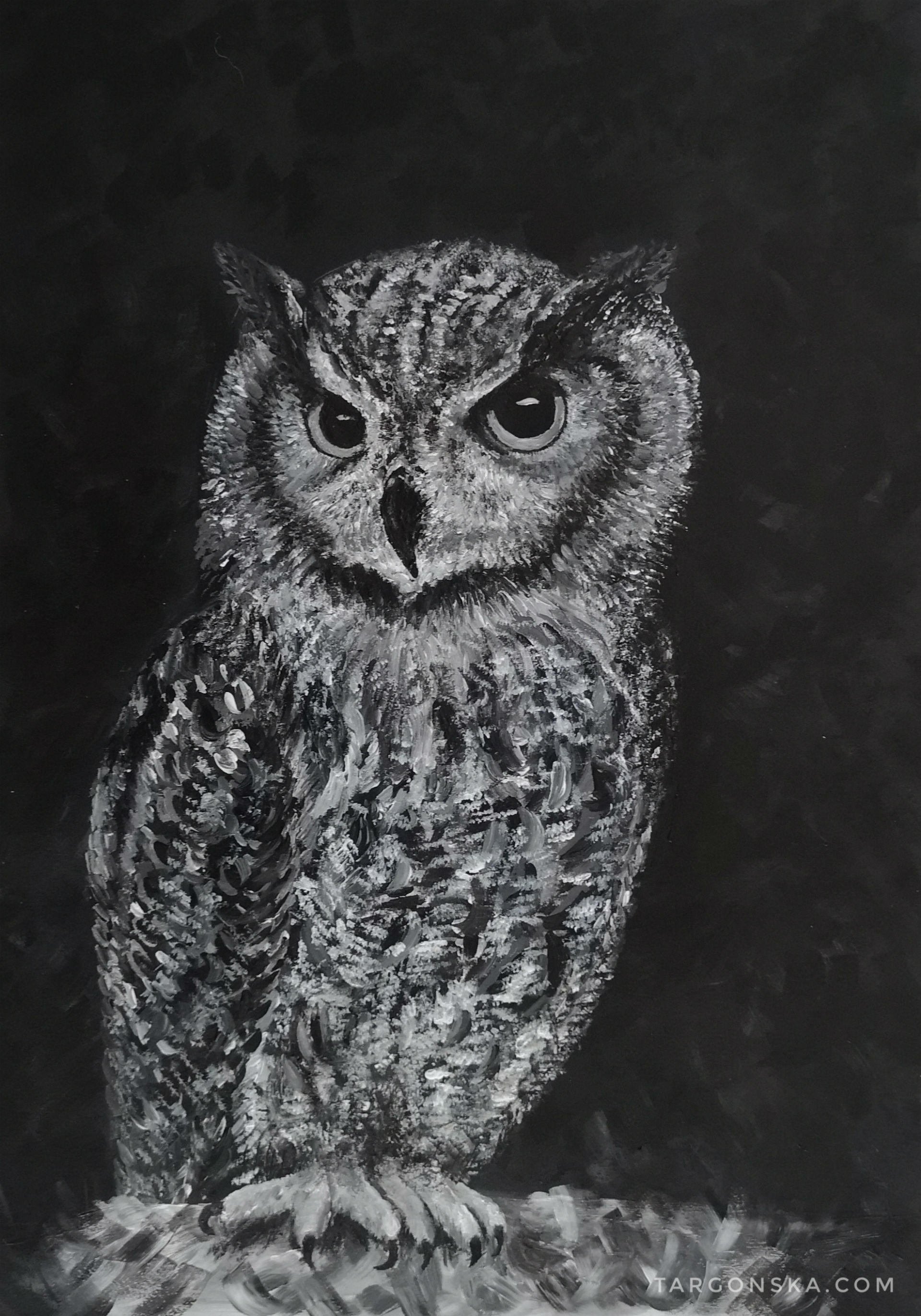 owl Targonska