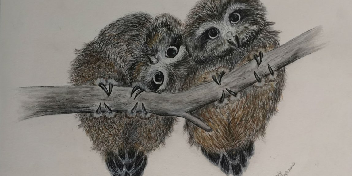 two Owls Targonska